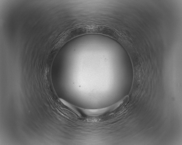 X0000052560225200507221444