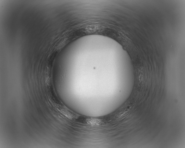 X0000052560226200507221444