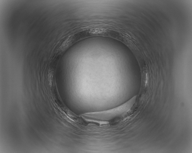 X0000052560227200507221444