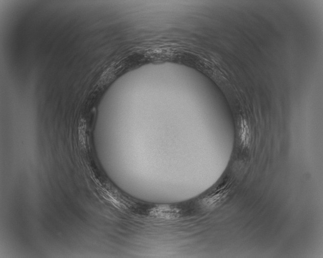 X0000052560231200507221444