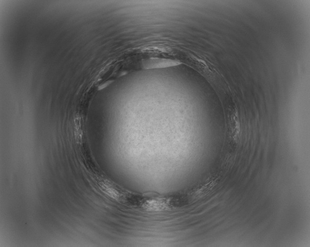 X0000052560232200507221444