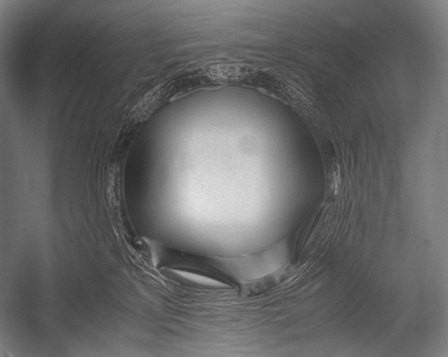X0000052560233200507221444