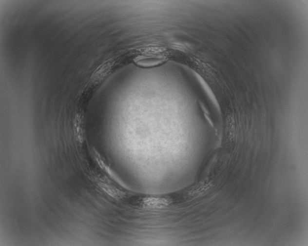 X0000052560234200507221444