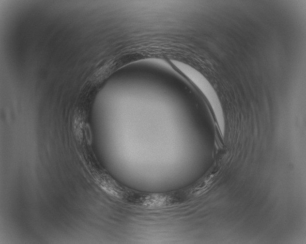 X0000052560235200507221444
