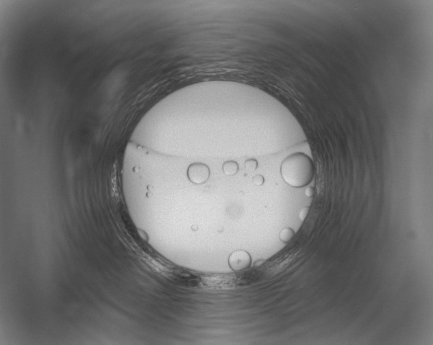 X0000052560238200507221444