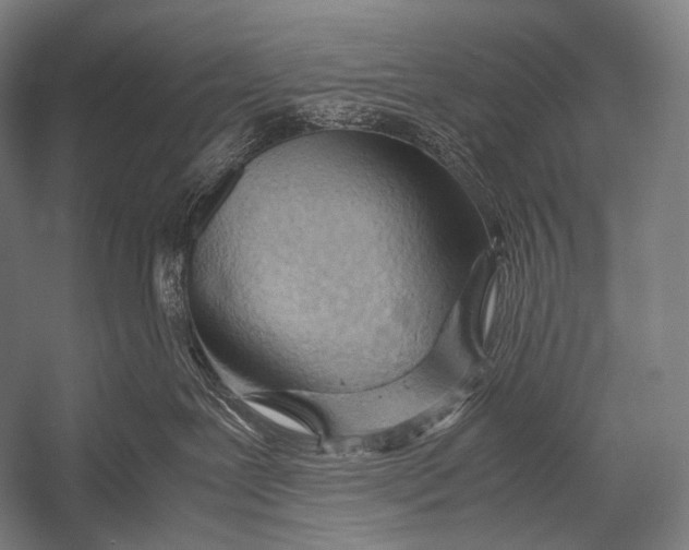 X0000052560239200507221444