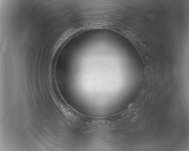 X0000052560242200507221443