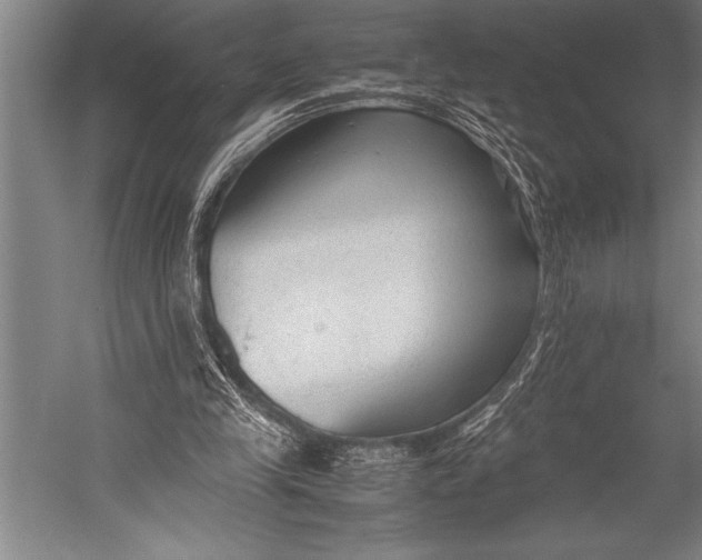 X0000052560245200507221443