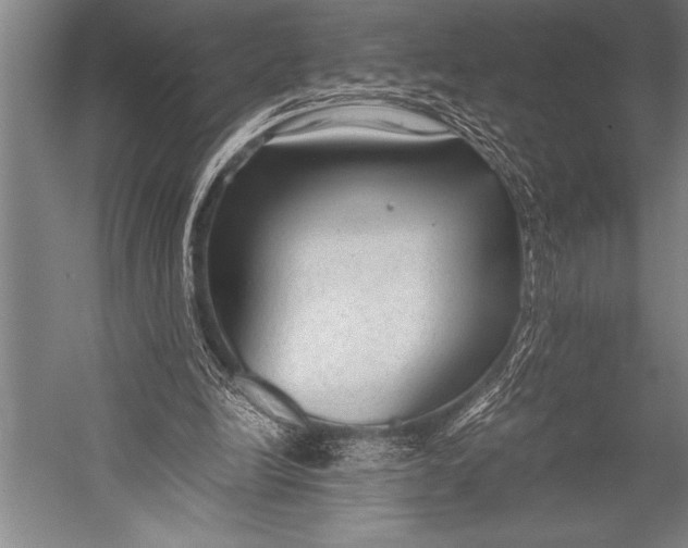 X0000052560246200507221443