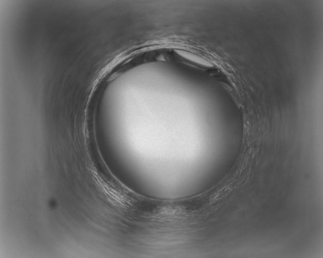 X0000052560248200507221443