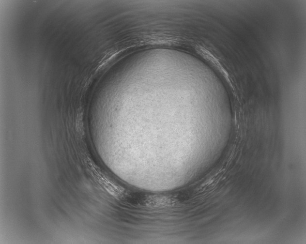 X0000052560249200507221443