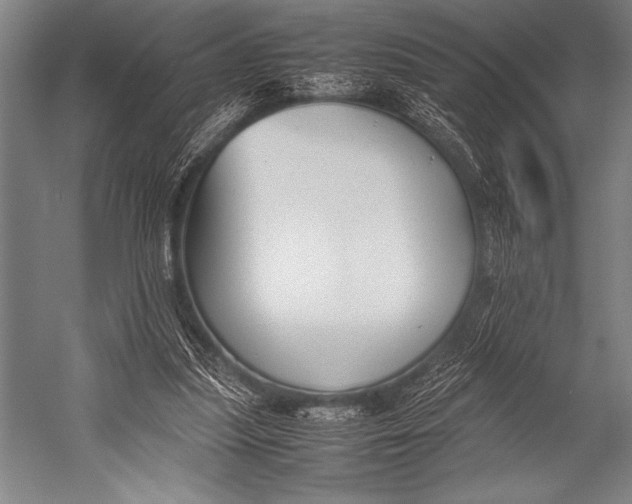 X0000052560251200507221443