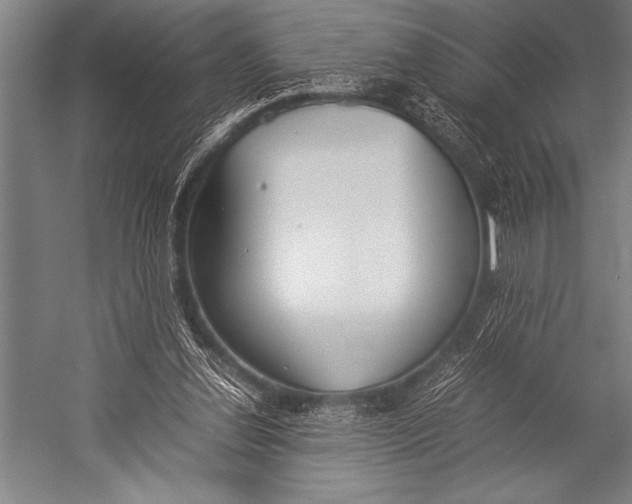 X0000052560252200507221443