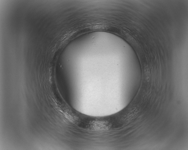 X0000052560255200507221443