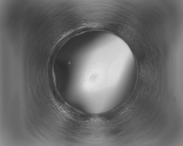 X0000052560256200507221443
