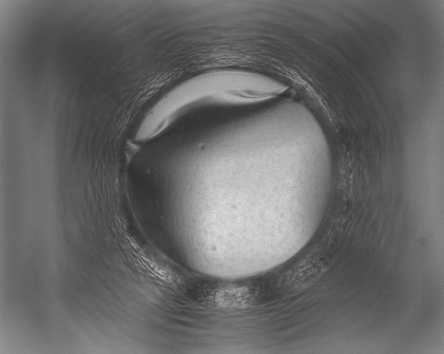 X0000052560257200507221443
