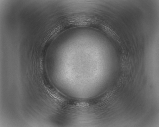 X0000052560258200507221443