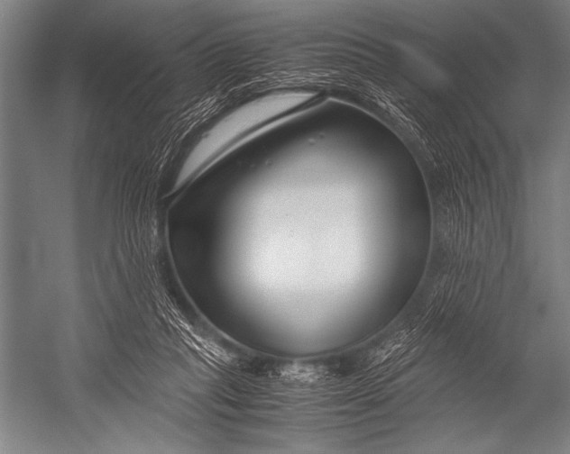 X0000052560261200507221443