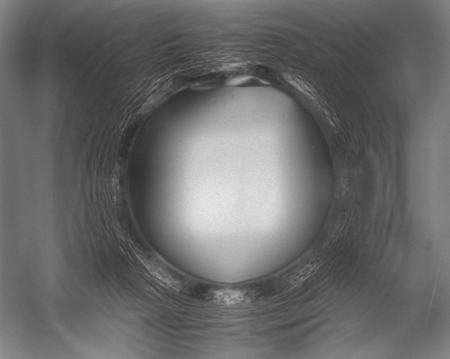 X0000052560265200507221443