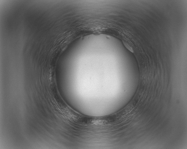 X0000052560268200507221443