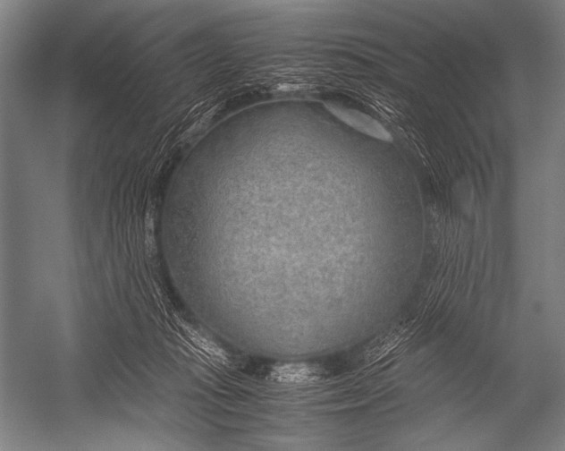 X0000052560269200507221443