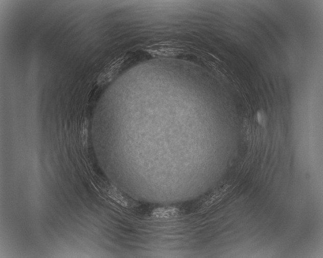 X0000052560271200507221443