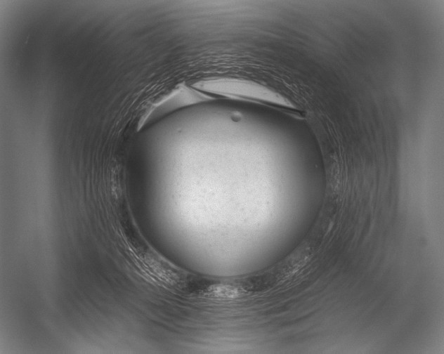 X0000052560272200507221443