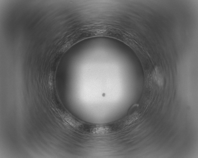 X0000052560274200507221444