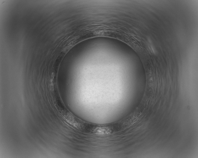 X0000052560275200507221444