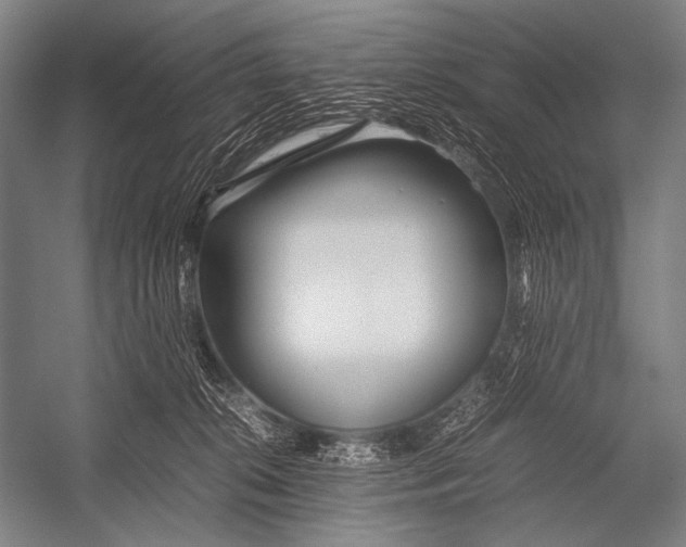 X0000052560276200507221444