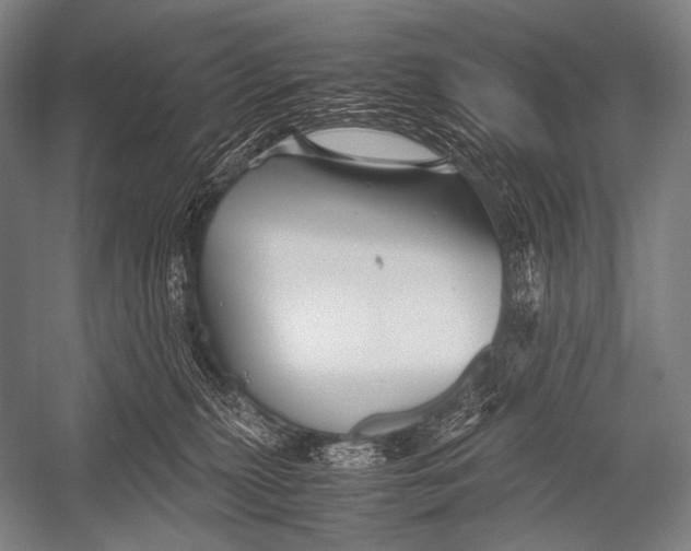 X0000052560279200507221444