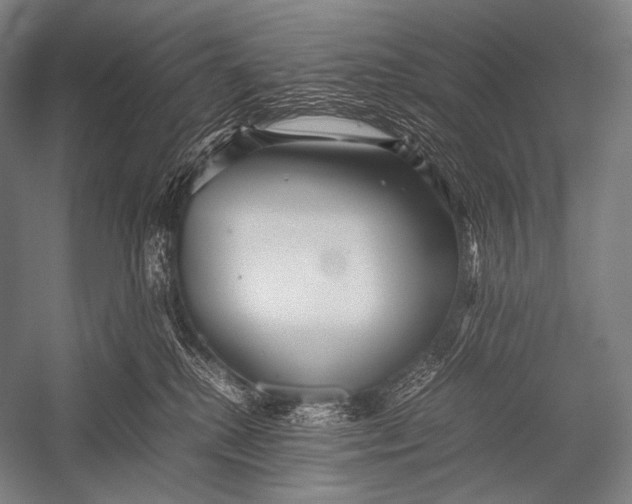 X0000052560280200507221444