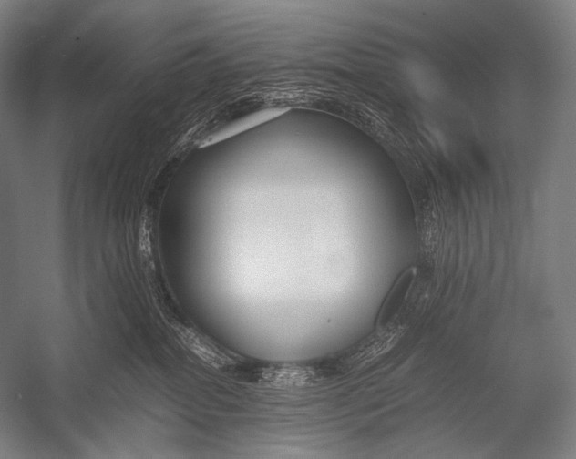 X0000052560282200507221444