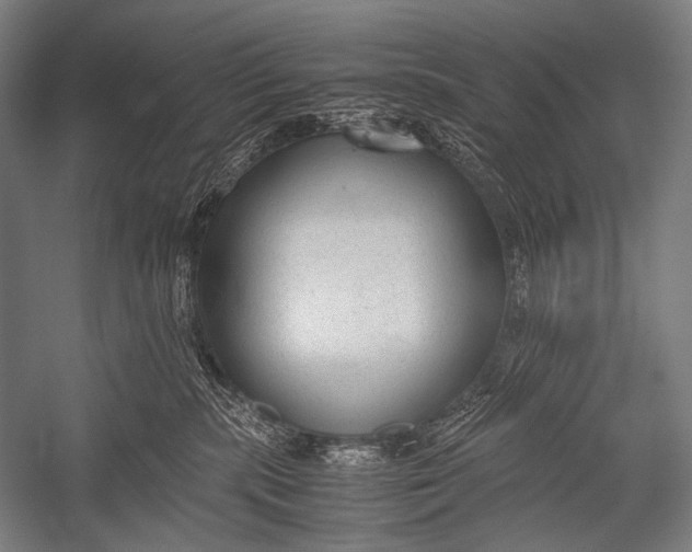 X0000052560283200507221444