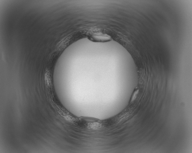 X0000052560287200507221444