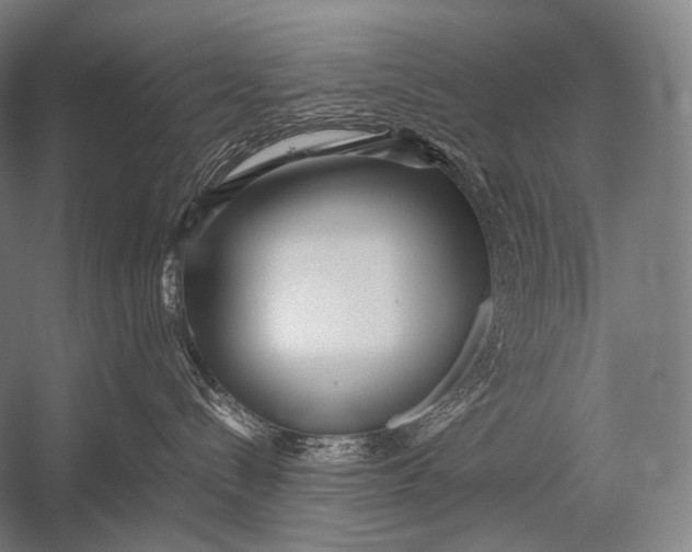 X0000052560288200507221444
