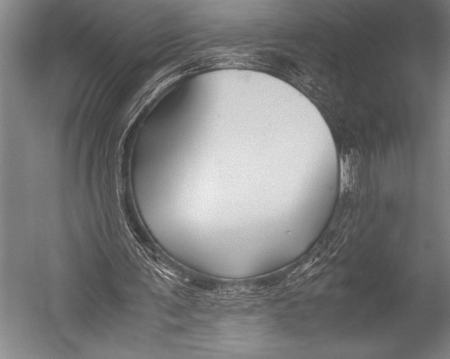 X0000052560291200507221443