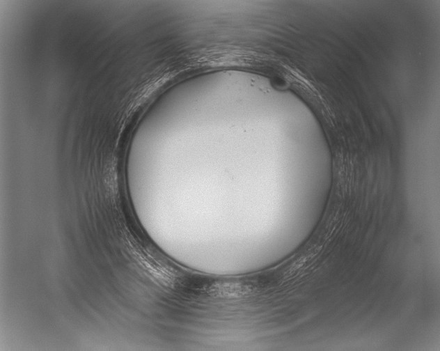 X0000052560298200507221443