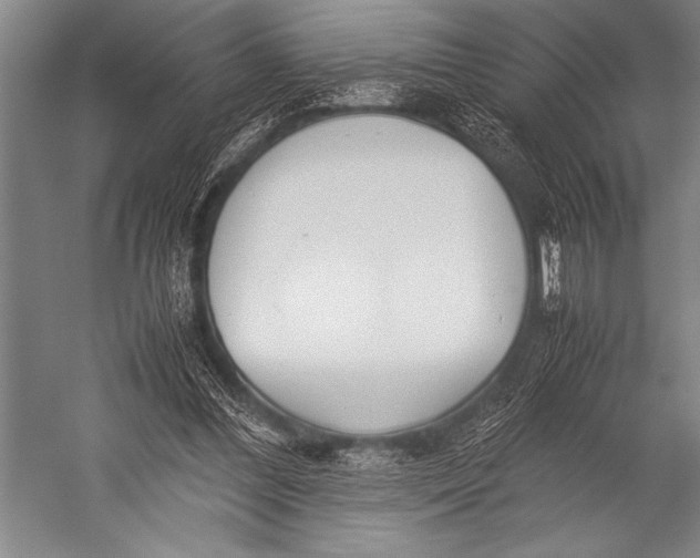 X0000052560300200507221443