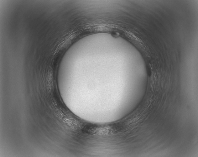 X0000052560306200507221443