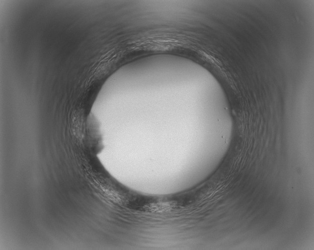 X0000052560307200507221443