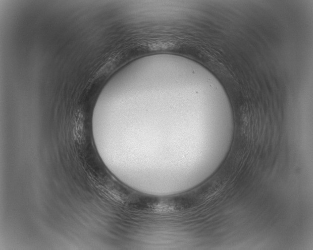 X0000052560308200507221443