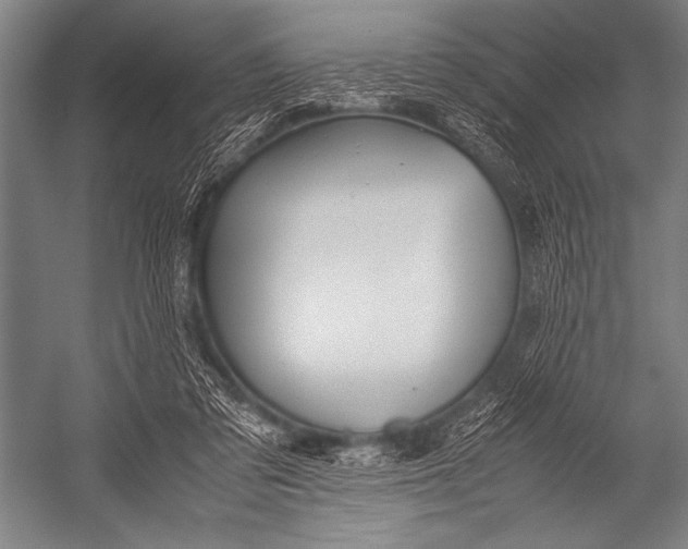 X0000052560309200507221443