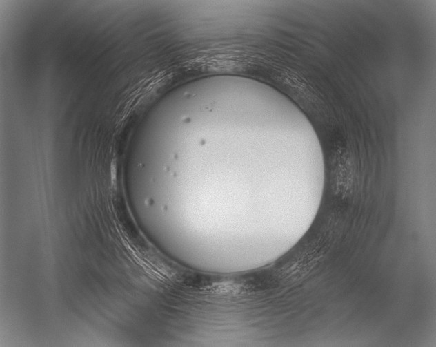 X0000052560310200507221443