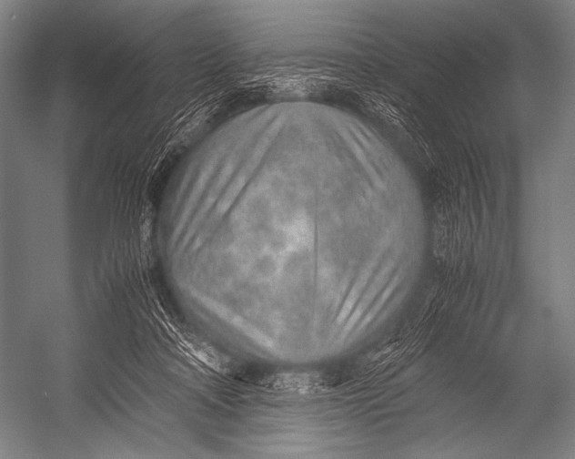 X0000052560314200507221443
