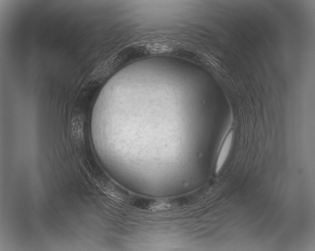X0000052560315200507221443