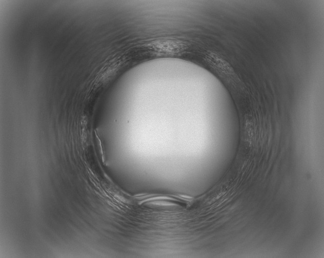 X0000052560318200507221442