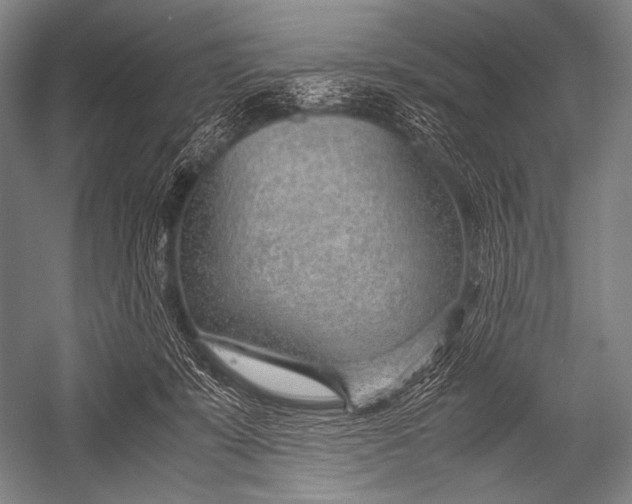 X0000052560319200507221442