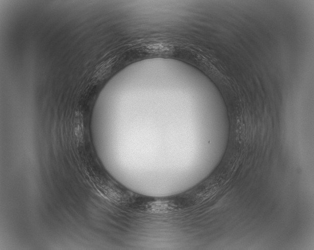 X0000052560320200507221442