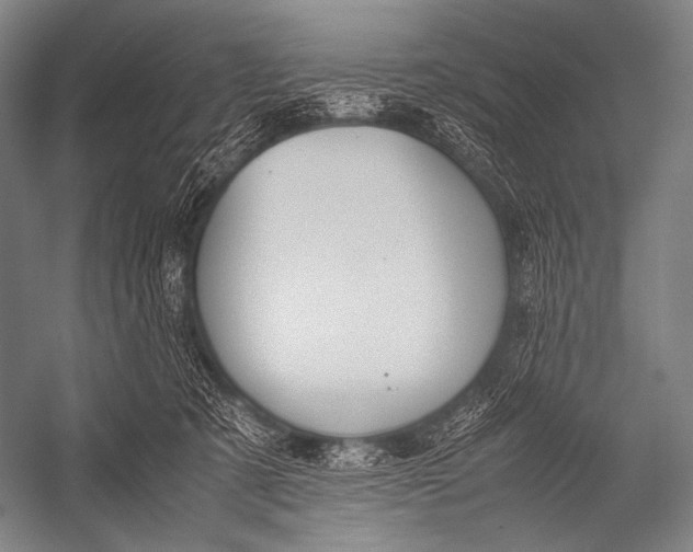 X0000052560321200507221442